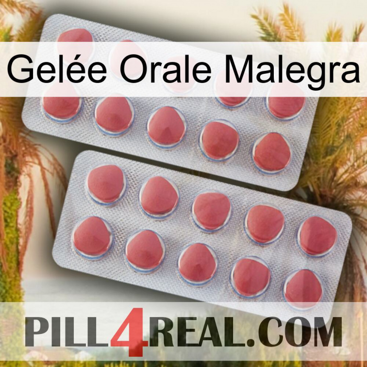 Gelée Orale Malegra 19